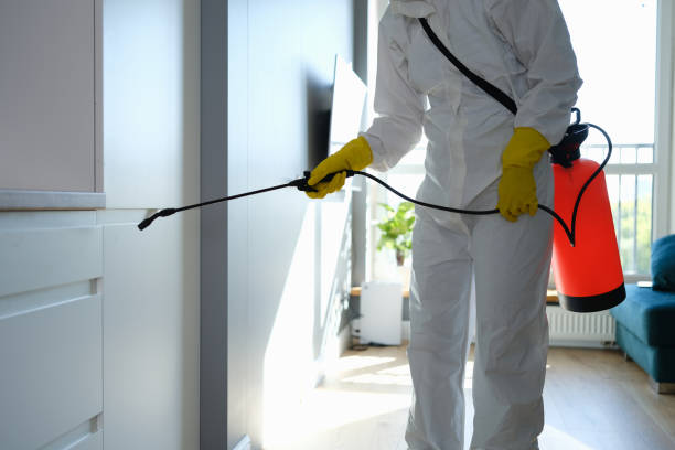 Professional Mold Removal in Columbus, NC